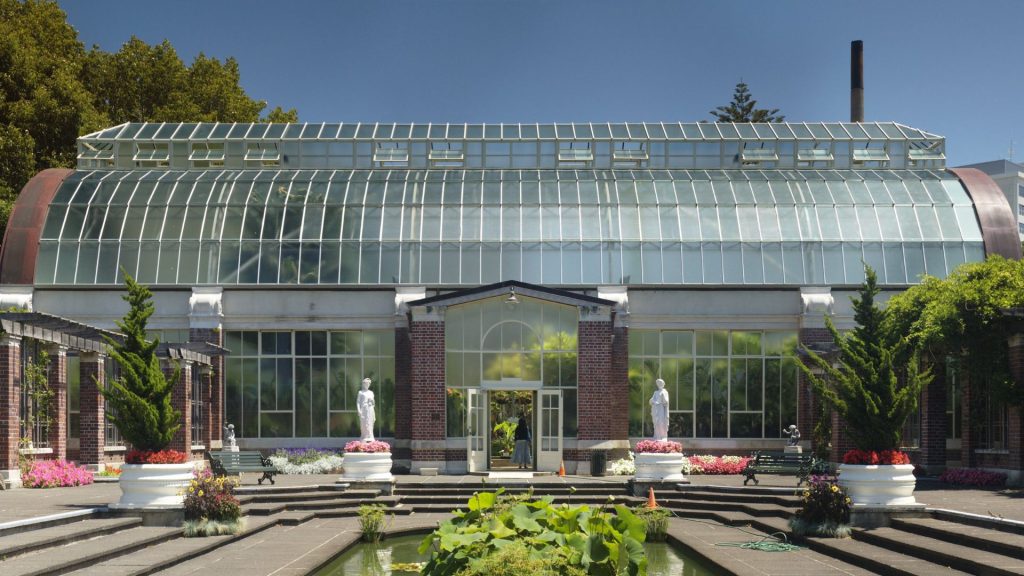 An exotic plant glasshouse in front of a beautiful, clear courtyard, located in Auckland Domain.