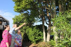 Family looking at bird feeder at The Cottage